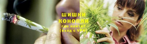 ГАЛЛЮЦИНОГЕННЫЕ ГРИБЫ Нея