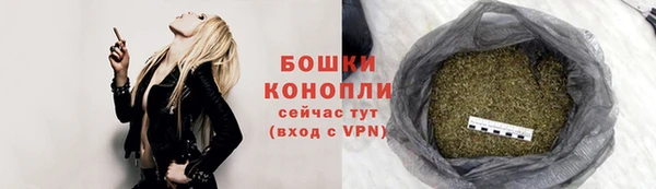 шишки Нефтегорск