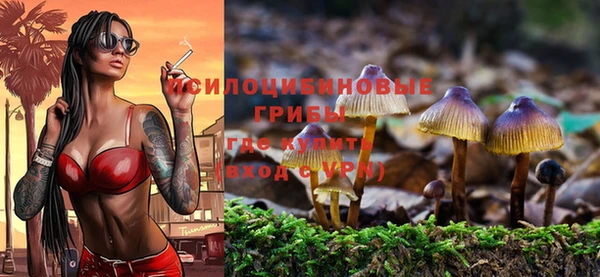 ГАЛЛЮЦИНОГЕННЫЕ ГРИБЫ Нея