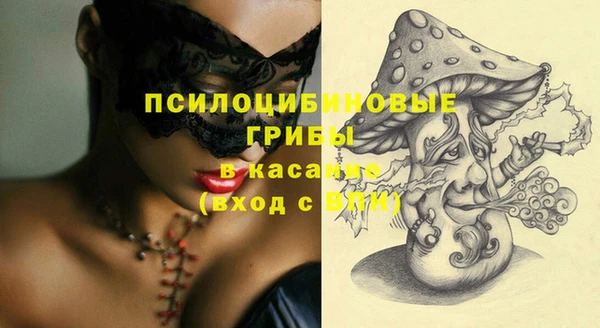 шишки Нефтегорск