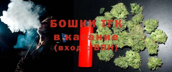шишки Нефтегорск