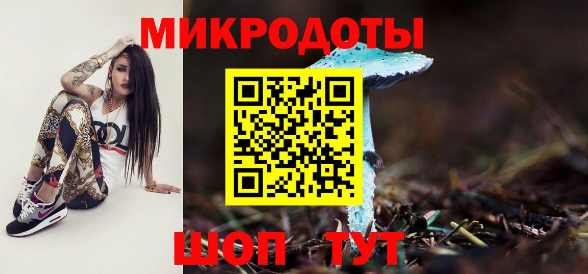 Псилоцибиновые грибы Psilocybe  где продают наркотики  Казань  Вход с VPN  Псилоцибиновые грибы MAGIC MUSHROOMS 